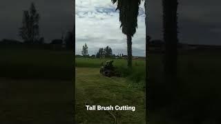 Cutting Tall Brush with the Husqvarna z560x - the cost effective solution