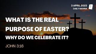 John 3:16 | What Is The Real Purpose Of Easter? | Daily Manna