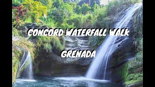 Concord Waterfall Walk in Grenada