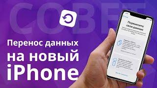 Как перенести данные с айфона на айфон? Резервная копия iPhone в iTunes и iCloud