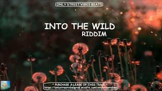 --- Only Vibes Beats Reggae Riddim Instrumental - Into The Wild Riddim -