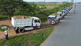 FIRST Massive Protect! Processing Dump Truck Fill Land, Bulldozer D37P KOMATS’U Push stone, Mix VDO