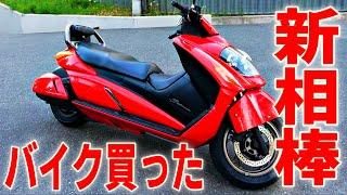 【デザイン未来過ぎ】売れなかった幻のバイクジェンマを買いました