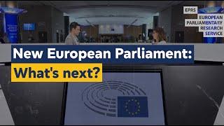 New European Parliament: What's next?