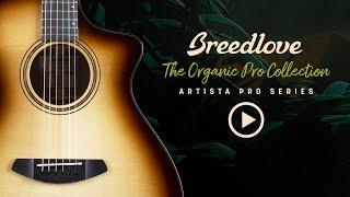Breedlove Organic Pro Artista Pro Guitar Series with Designer Angela Christensen