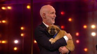 The ISPCA Bring Some Paw-some Guests to The Ray D'Arcy Show