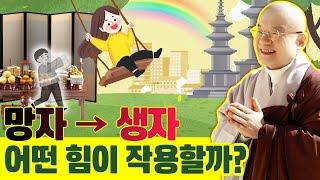 돌아가신 분은 살아있는 사람에게 어떤 힘을 작용할까?