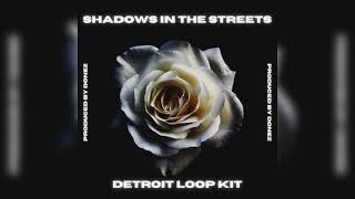 (FREE) Detroit Loop Kit 2022 - "Shadows in The Streets" | Flint Loop Kit 2022 (10 Loops, By Donez)