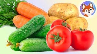 Овощи для детей, часть 1. Учим названия разных овощей и узнаем, как они растут.