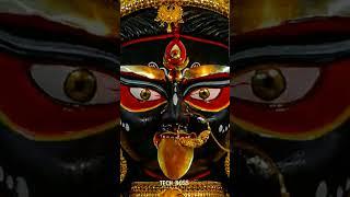 joy Boro Maa 