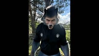 I Became a Wolf!!  #wolf #ai #3danimation #ai #animation #3d