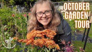 October Garden Tour | Heirloom Chrysanthemums are FINALLY Here!