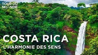Costa Rica : Le joyau vert de l'Amérique Centrale - Biodiversité - Documentaire voyage - AMP