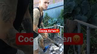Мой наглый сосед