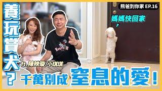 熊爸到你家EP.16｜你養玩賞犬？ 這集很重要！｜熊爸估狗 feat.陳映璇+小琪琪(玩賞犬-馬爾濟斯)