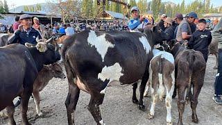 ЖАҢЫ-НООКАТ МАЛ БАЗАРЫ , СААН УЙЛАР / 12_06_2024