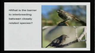 Darwin's Legacy | Lecture 5