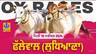 [Live] Phallewal | Ludhiana | ਬੈਲ ਗੱਡੀਆਂ ਦੀਆਂ ਦੌੜਾਂ | Ox Races | 18 Nov 2024