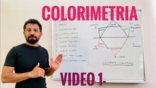 COLORIMETRIA DEL CABELLO  -  VIDEO 1