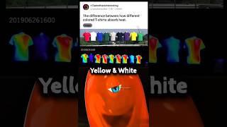T-shirts moment 