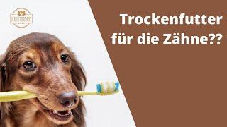 Trockenfutter ist NICHT gut für die Zähne | Der Futtermann #hundefutter #trockenfutter #dentastix