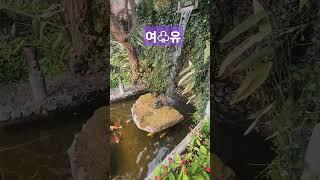 ️평온하다~!!