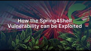 Spring4Shell Basic Exploitation Demo