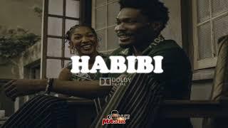 Afrobeat Instrumental 2024 Burna Boy Ft Rema Type Beat "HABIBI" Afrobeat Type Beat