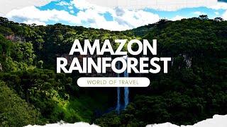 Why the Amazon Rainforest is More Important Than You Think