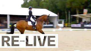 Final 7yo horses I FEI WBFSH Dressage World Breeding Championship for Young Horses 2023