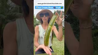 Inga Edulis but the kids call it Ice Cream Bean🫘. Sweet, watery, & light- they do not last