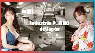 Industria NOPOR de Japón ¿Qué es JAV?