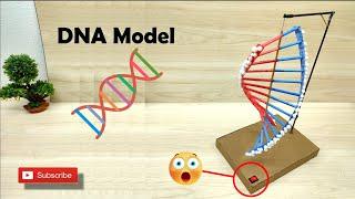 DNA Model #DNA Working Model #Structure of DNA #Class 10 & 12 Project