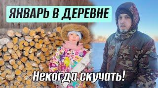 ПЕТУХИ С ЧЁРНЫМ МЯСОМ, ДРОВА, СНЕГ