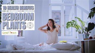 10 Plants You Should Keep In Your Bedroom | Best bedroom plants for sleep better | Leaf Town