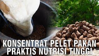 Konsentrat Pelet Pakan Praktis Nutrisi Tinggi