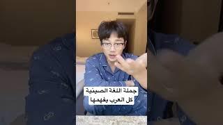 اظن هذه الجملة من اللغة الصينية كل العرب يفهمها