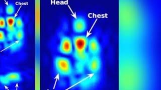 Researchers Use WiFi To See Through Walls