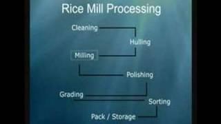 rice milling process