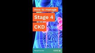 How to manage stage 4 chronic kidney disease and avoid dialysis