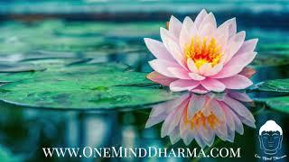 Vipassana Guided Meditation - Insight Practice