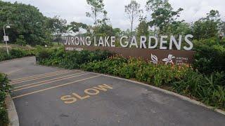 주롱 호수정원, 판단 저수지 | 싱가포르에서 조깅하기 | Singapore Jurong Lake Gardens, Pandan Reservoir | Jogging with Me