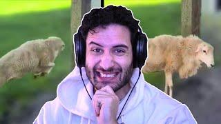 NymN Reacts to OHIO DAILY DOSE 