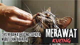 Cara Memandikan Kucing dengan Aman dan Nyaman