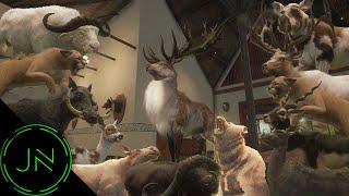 Trophy Montage #2 | theHunter Call of the Wild