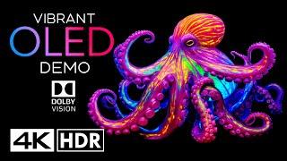 Vibrant OLED Demo 4K 60fps HDR Dolby Vision - (4K Video) Dolby Atmos