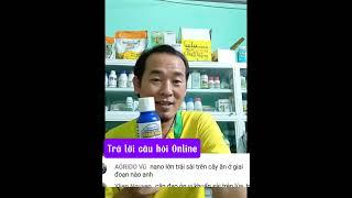 Sự thật về việc vụ nào hạt lúa cũng to hơn xung quanh