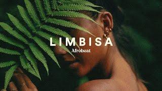 Afrobeat Type Beat x Dancehall Type Beat - Limbisa