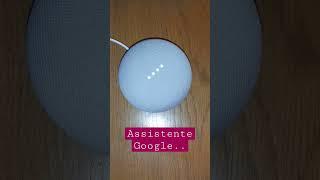 Google Nest , assistente vocale,domotica