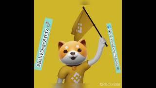 Baby Dogecoin Binance Army   